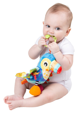 Playgro Activty Friend Tamika Toucan