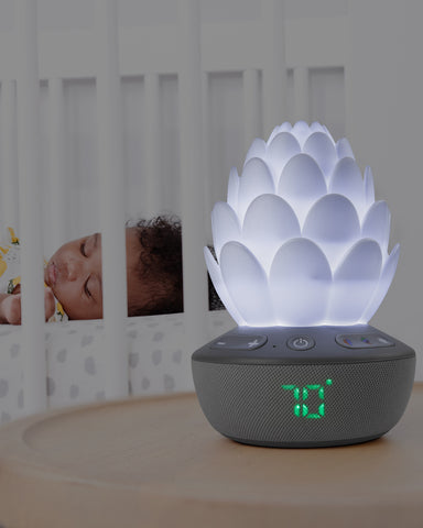 Skip Hop Succulent Nattlampa med gråtsensor