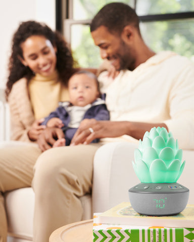Skip Hop Succulent Nattlampa med gråtsensor