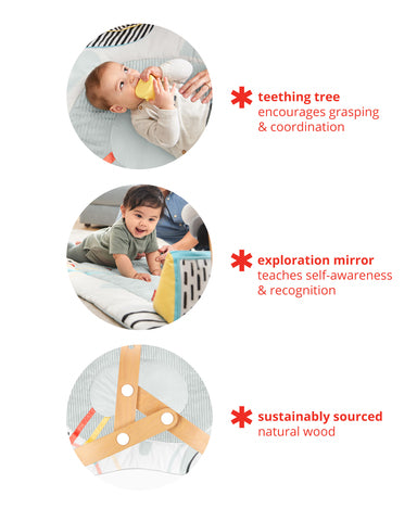 Skip Hop - Skip Hop Discoverosity Babygym