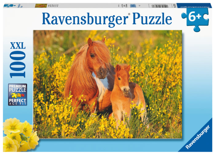 Ravensburger pussel - Shetland Pony 100 bitar