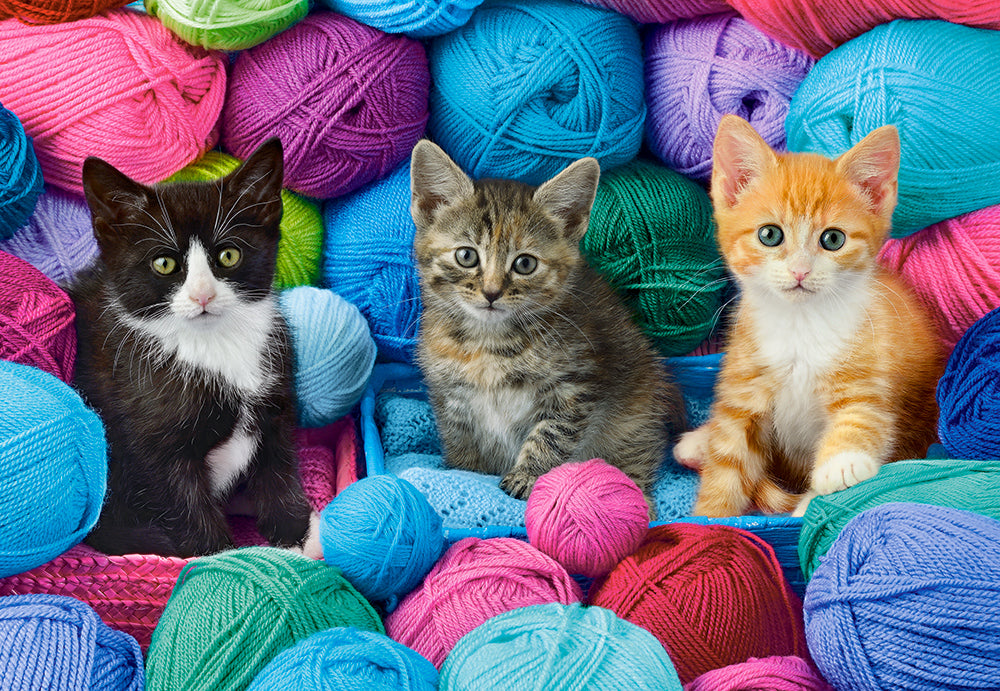 KIDEK pussel - Kittens in Yarn Store, 1000-bitar