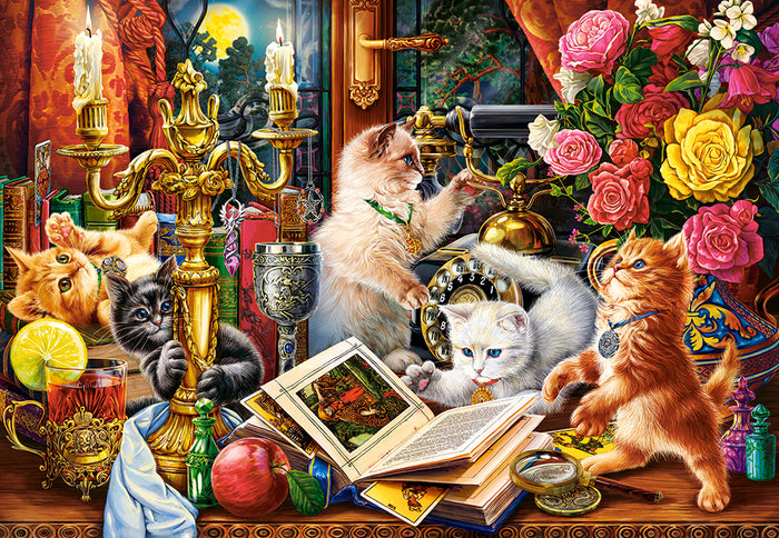 KIDEK pussel - Wizard Kittens, 1000-bitar