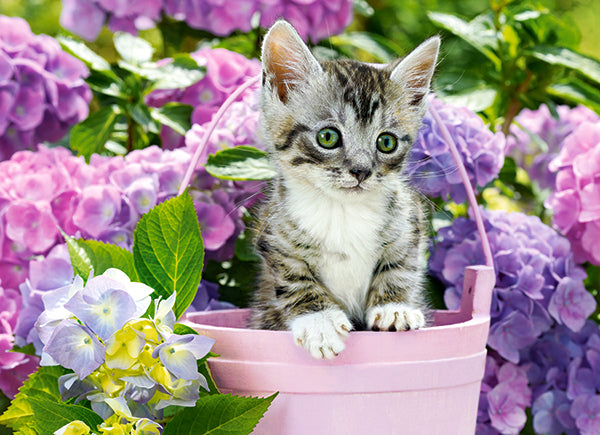 KIDEK pussel - Kitten in Basket, 200-bitar
