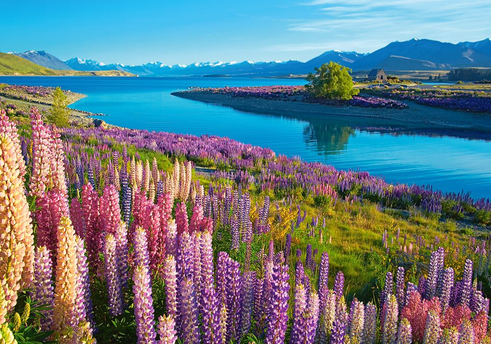KIDEK pussel - Lake Tekapo, New Zealand, 500-bitar