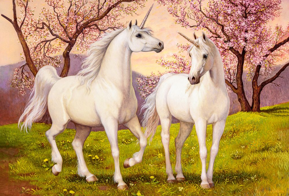 KIDEK pussel - Unicorn Love, 1000-bitar