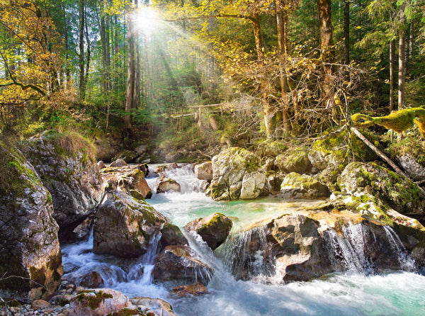 The forest stream, 2000-bitarspussel