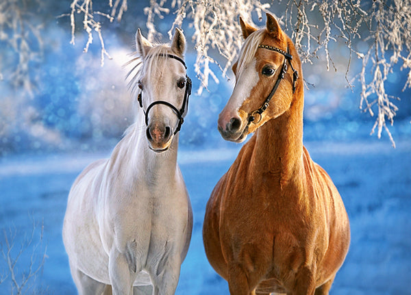 KIDEK pussel - The Winter Horses, 260-bitar
