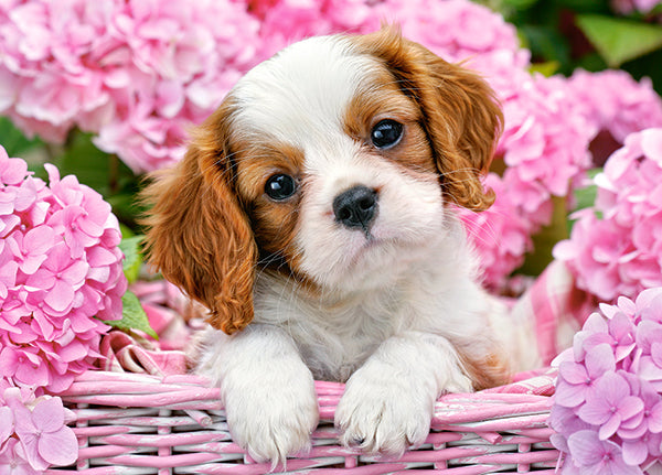 KIDEK pussel - Pup in Pink Flowers, 180-bitar