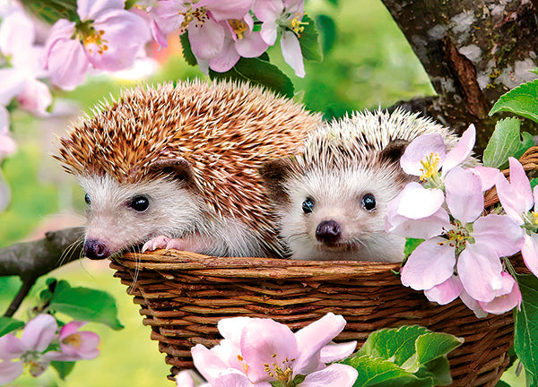 KIDEK pussel - Springtime, 120-bitar