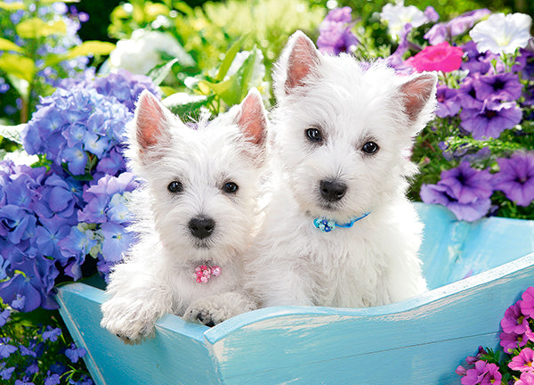 KIDEK pussel - Westie Puppies, 60-bitar