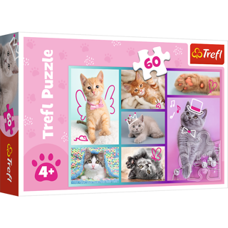 KÄRNAN, PUSSEL, TREFL - 60 BIT CUTE CATS