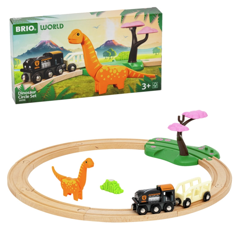 Dinosaur Circle Set