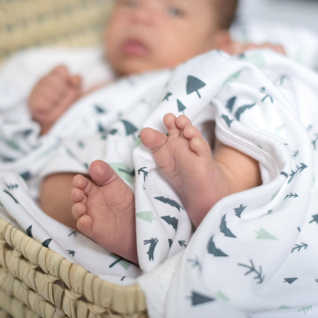 Summerville organic babyfilt Forest