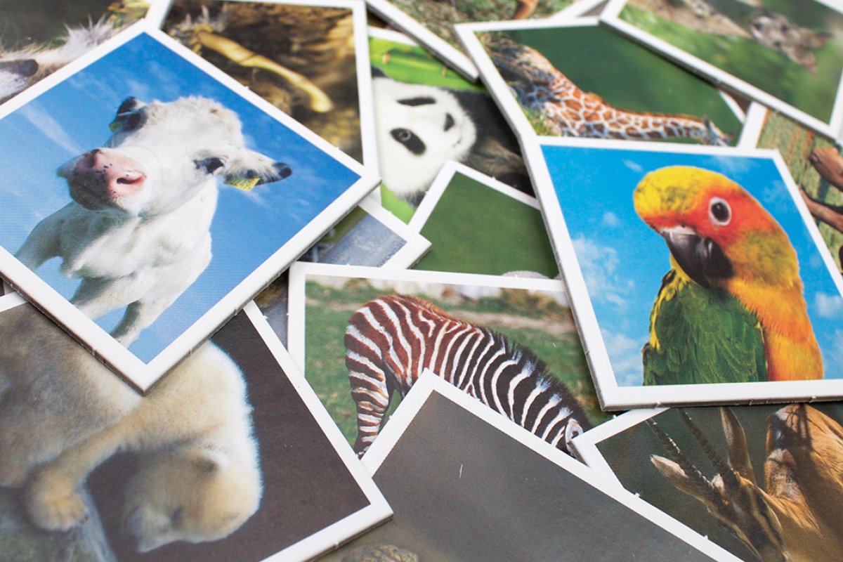 Tactic Memo Animal Babies