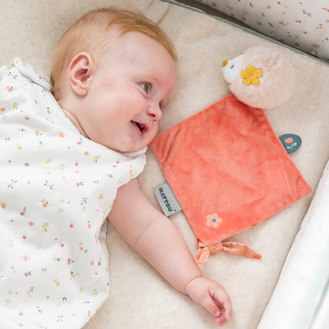 Nattou Snuttefilt med Igelkotten Zoë