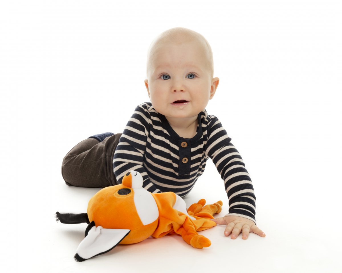 Tactic Lumo Stars Baby Line Fox Repo