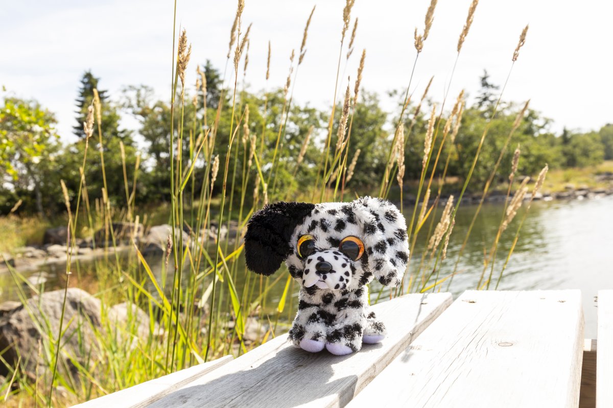 Tactic Lumo Stars Dalmatian Dog