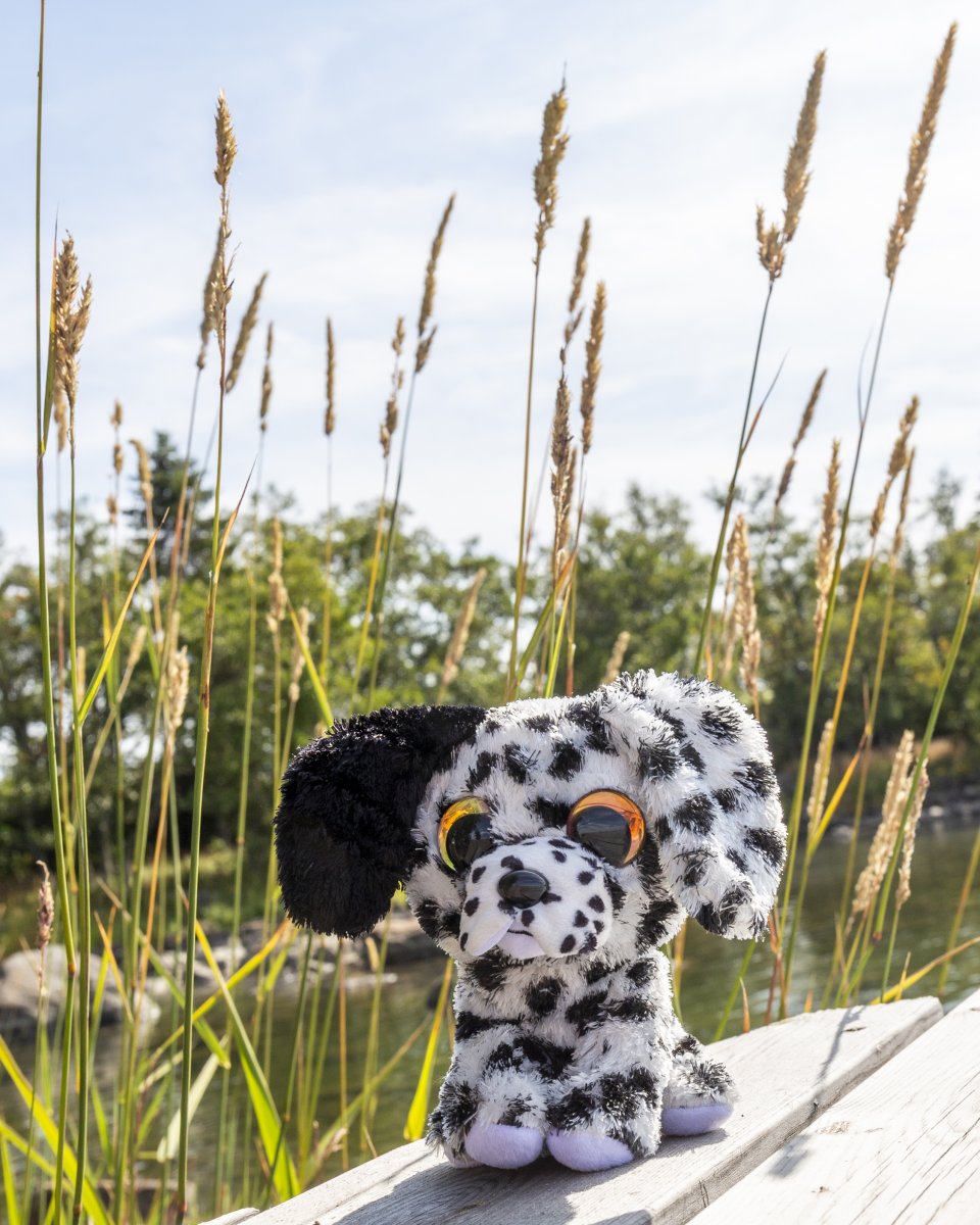 Tactic Lumo Stars Dalmatian Dog