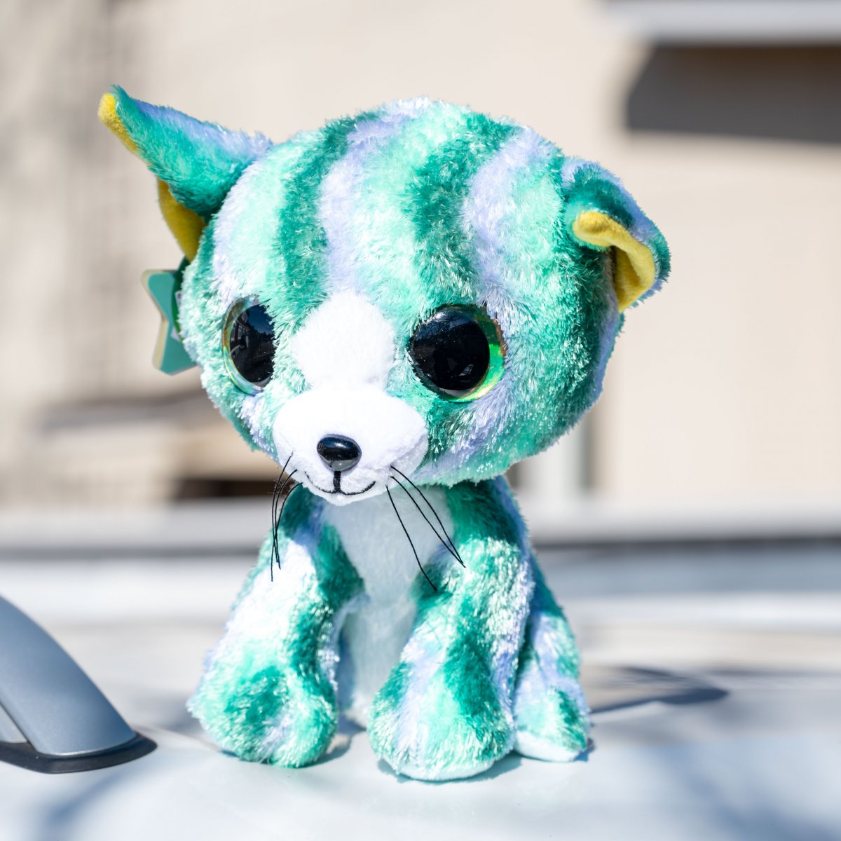 Tactic Lumo Stars Cat Clover