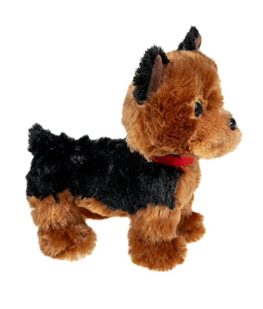 Tactic Lumo Stars Yorkshire terrier Daisy