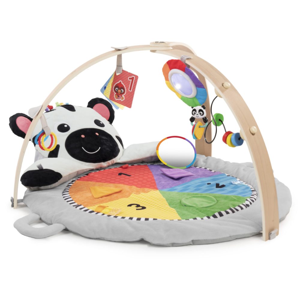 Babygym - Baby Einstein Zen's Activity Milestones™
