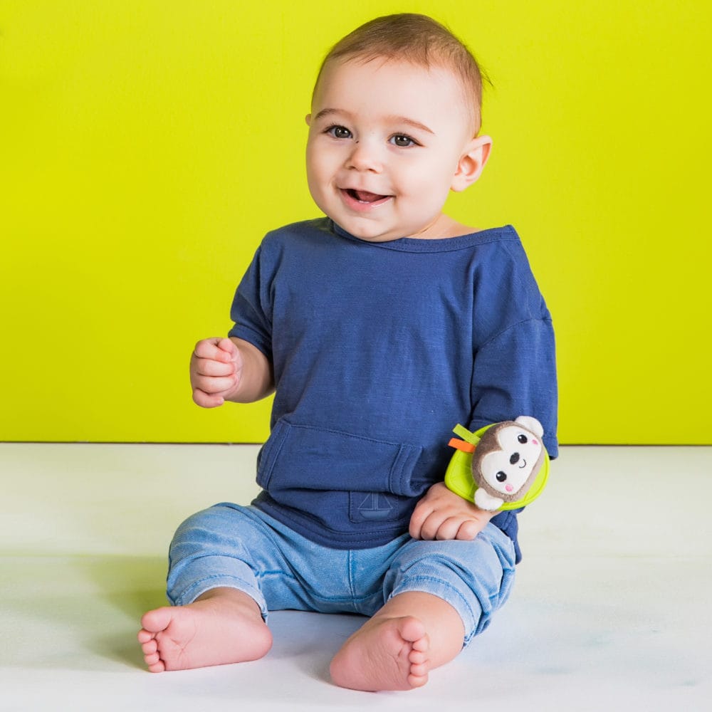 Bright Starts Rattle & Teethe Wrist Pals