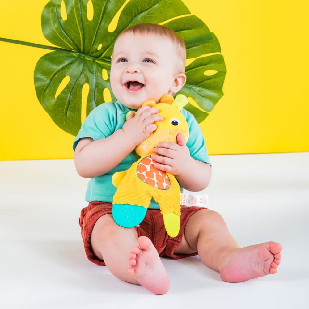 Bright Starts Snuggle & Teethe Giraff