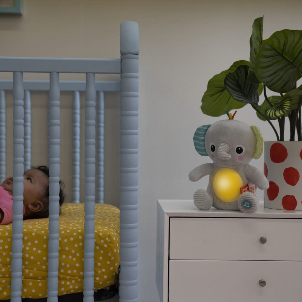 Bright Starts Hug-a-bye Baby
