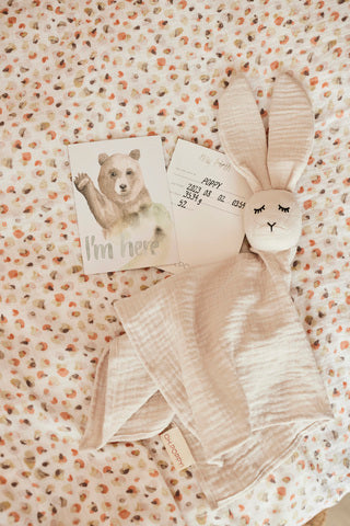 Oh Poppy Silia Milestone Cards