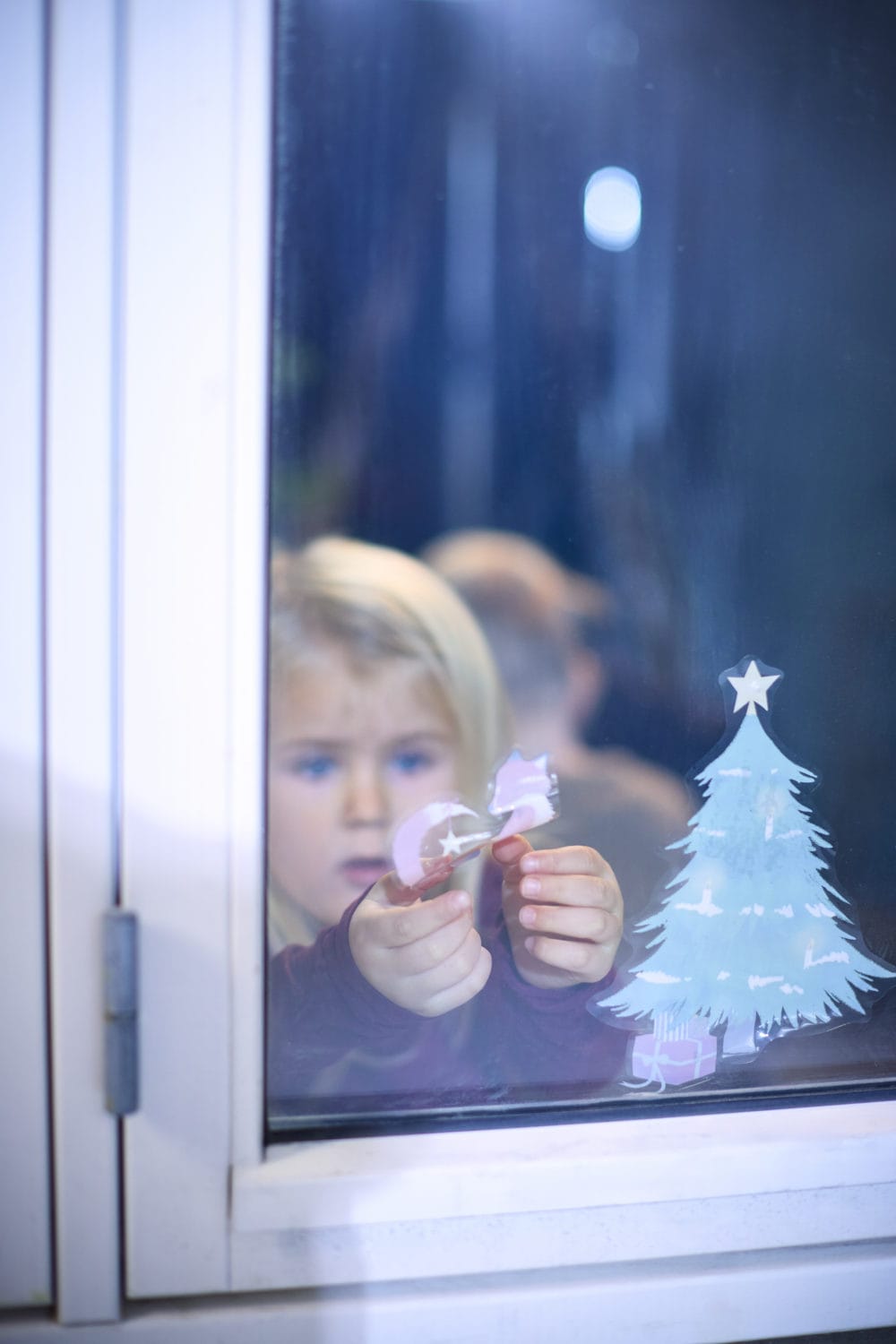 Filibabba Fönsterdekaler - Vinter och Skogsvänner