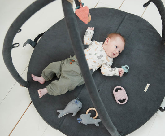 Babygym - Filibabba Loui aktivitetsmatta