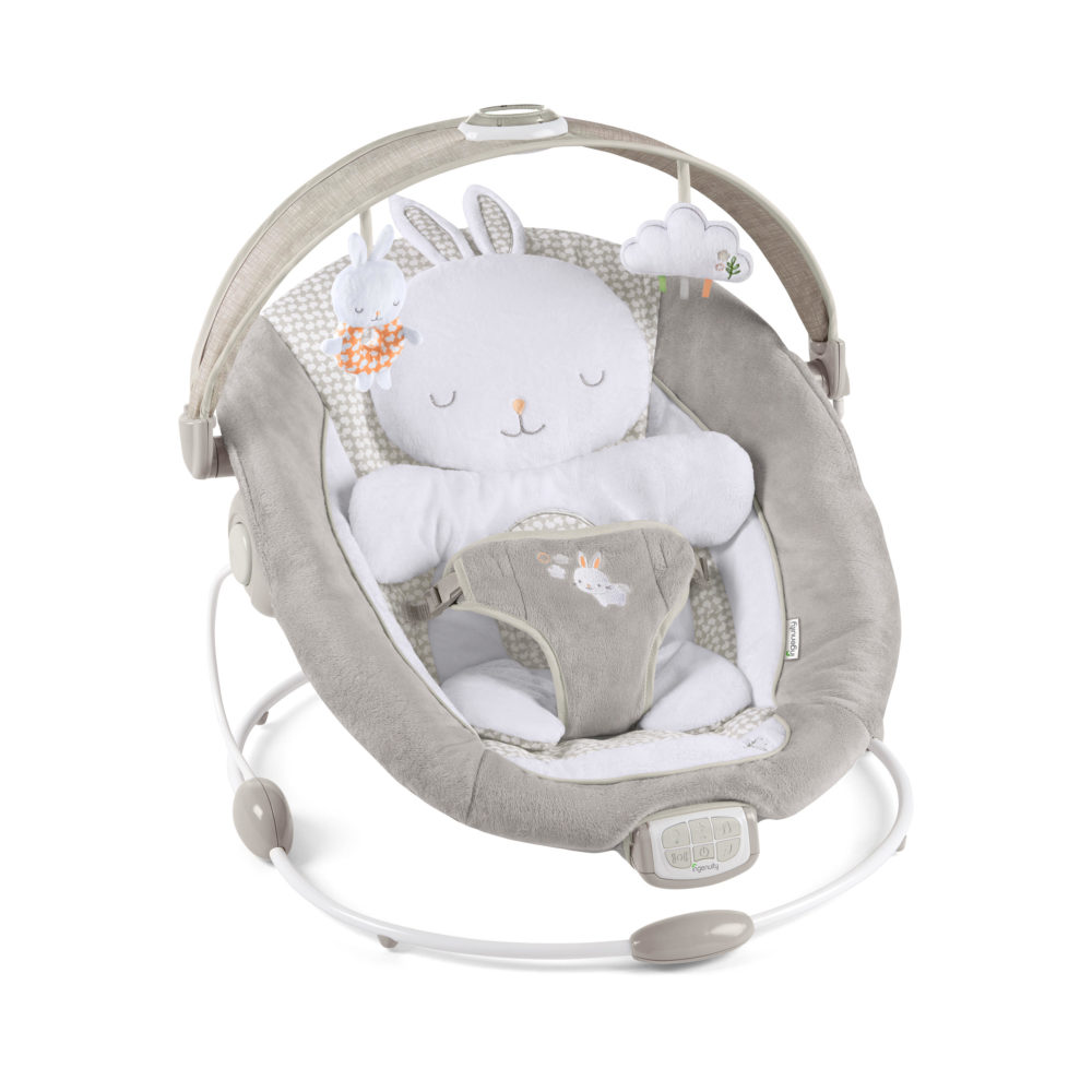 Ingenuity InLighten Bouncer