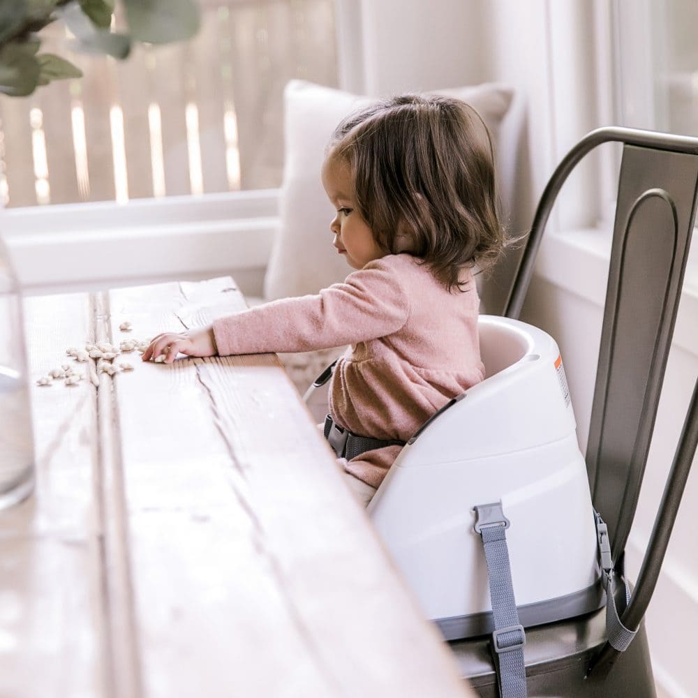 Ingenuity Baby Base 2-in-1 Booster Seat