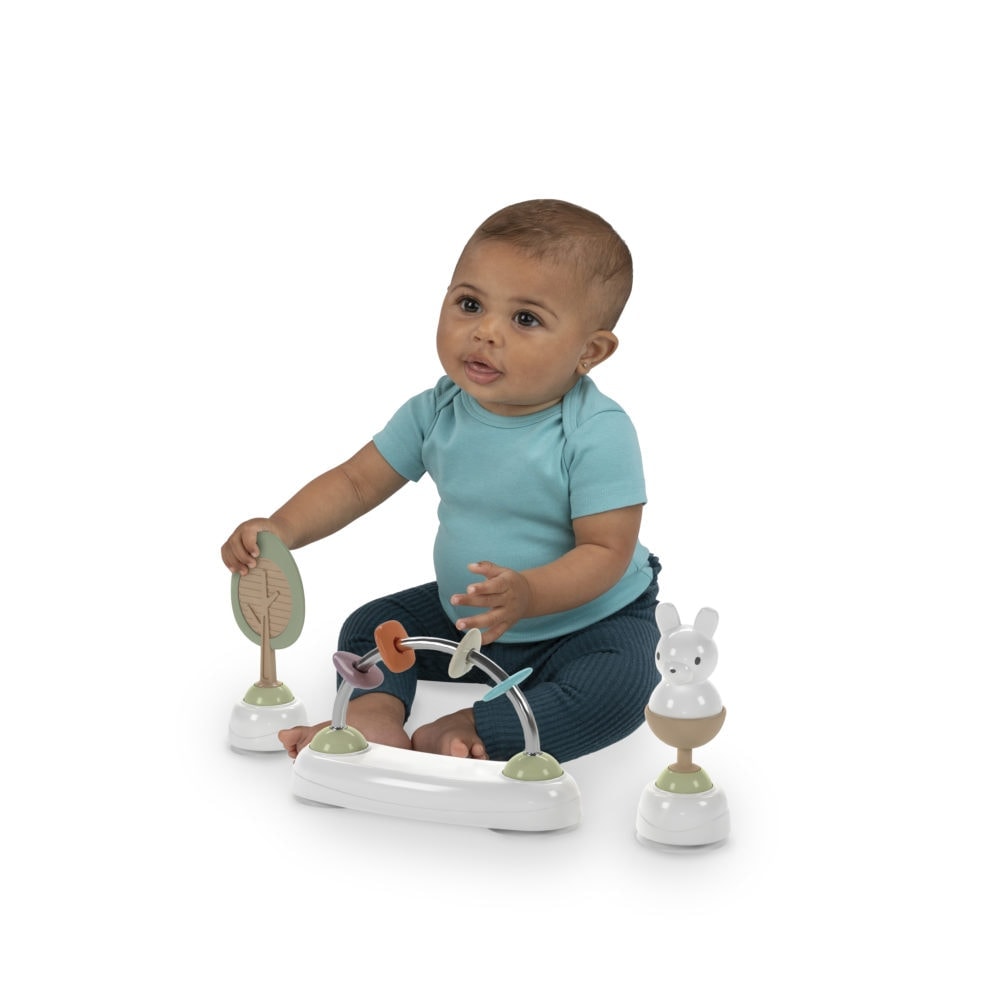 Ingenuity Step & Sprout 3-i-1 Walker