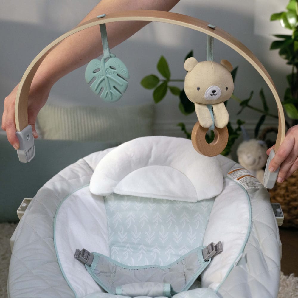 Ingenuity Cozy Spot Bouncer
