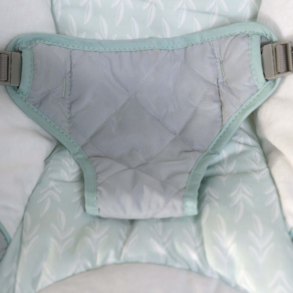 Ingenuity Cozy Spot Bouncer