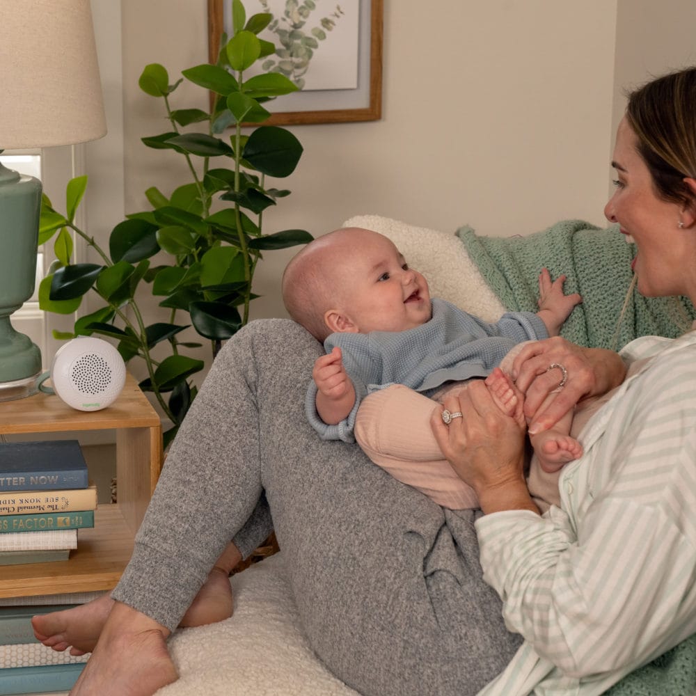 Ingenuity Pock-a-Bye Baby Soother