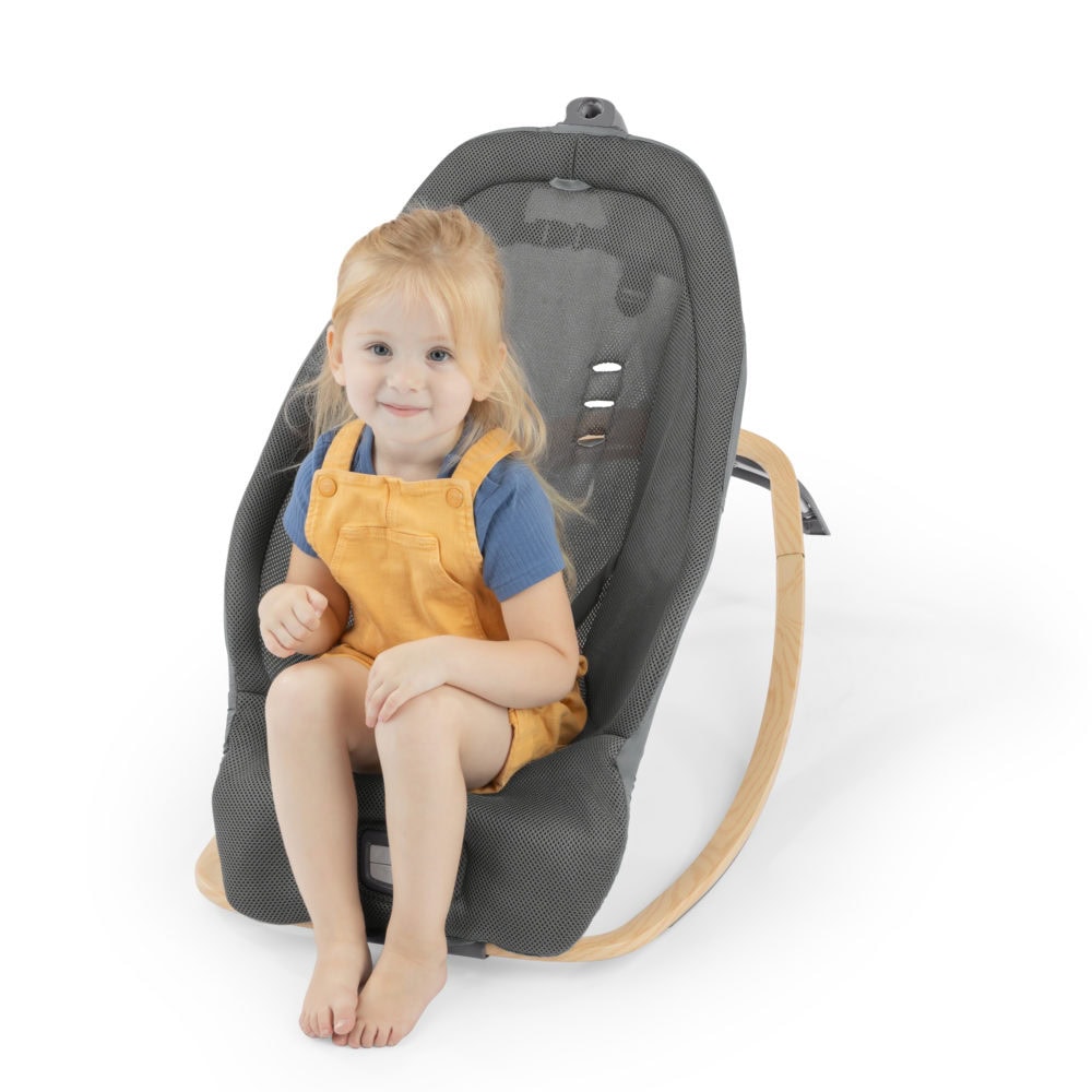 Ingenuity Every Season™ Rocking Seat