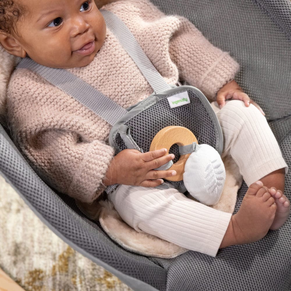 Ingenuity Every Season™ Rocking Seat