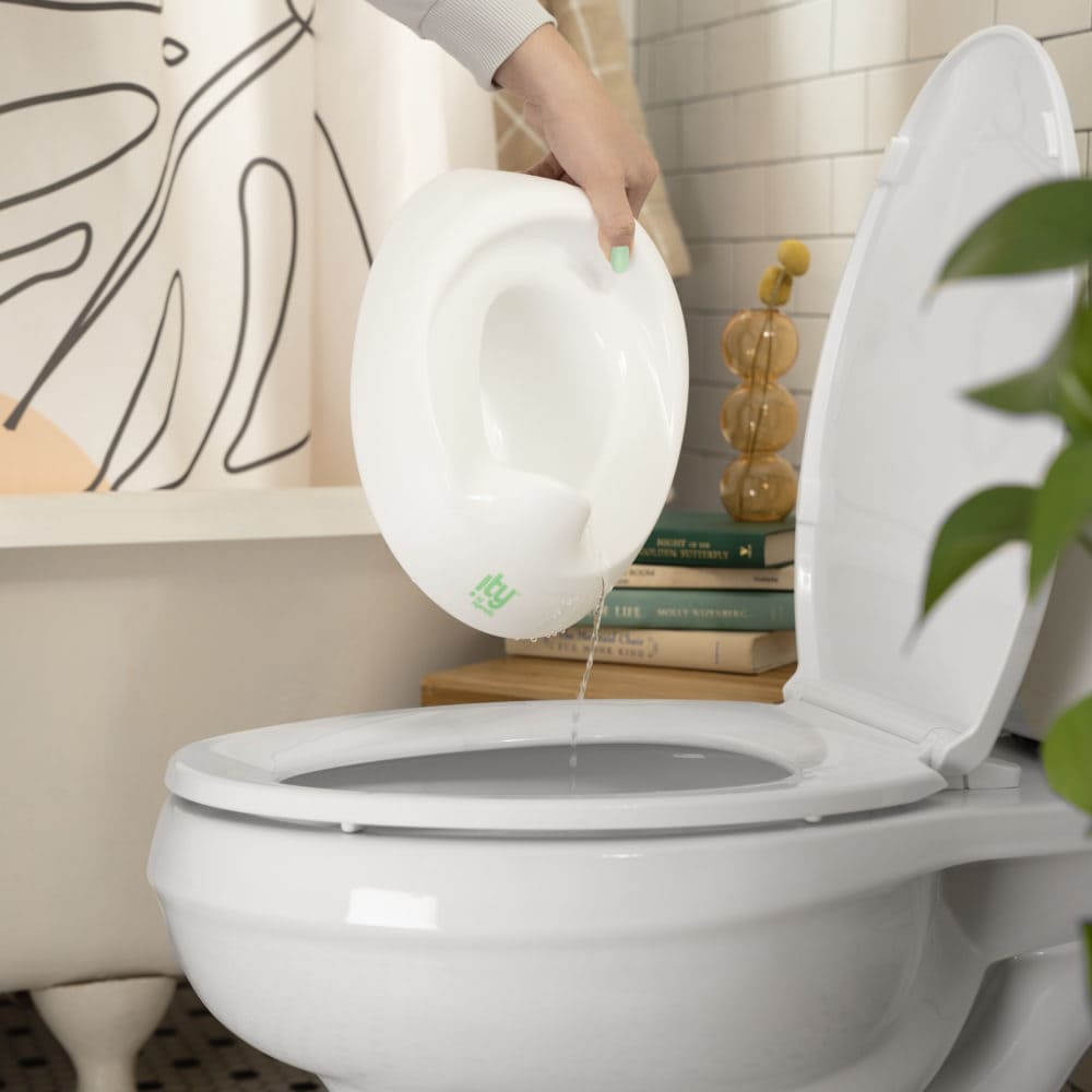 Ingenuity Ready Set Go™ Potty
