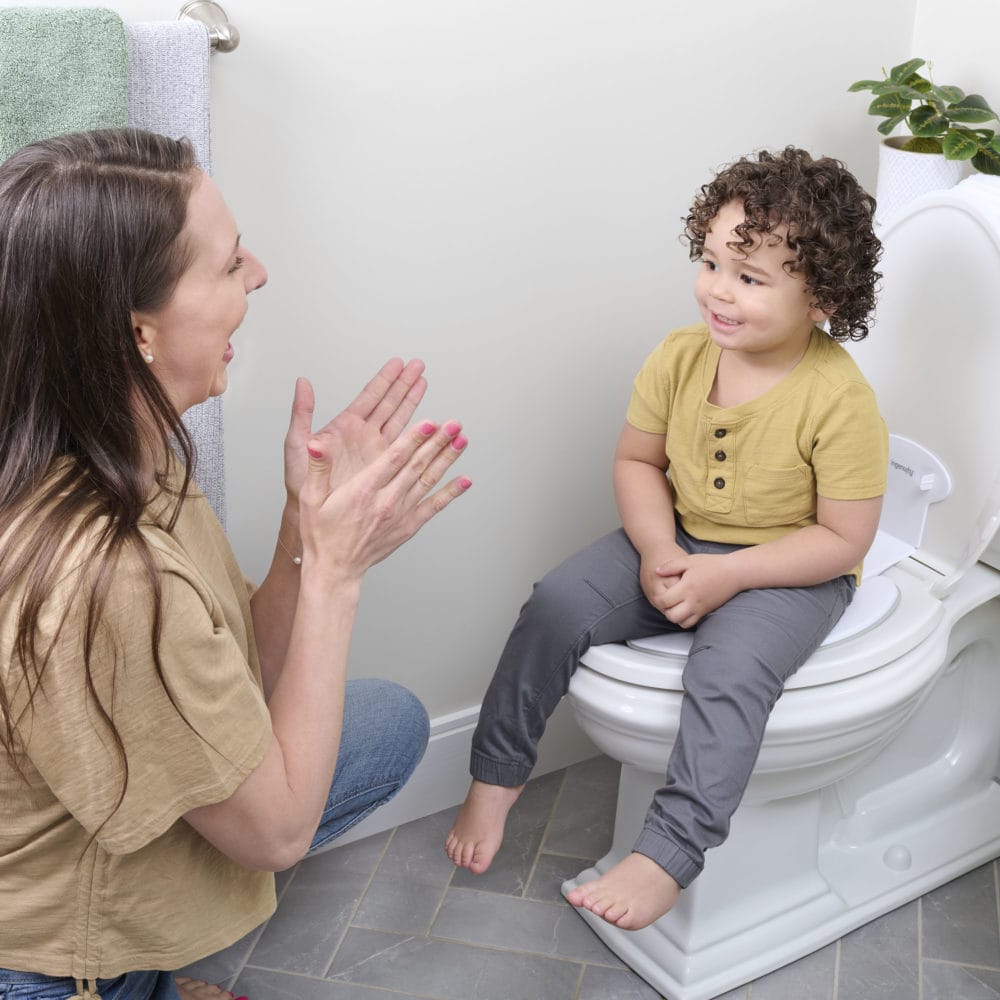 Ingenuity Flip & Sit Potty