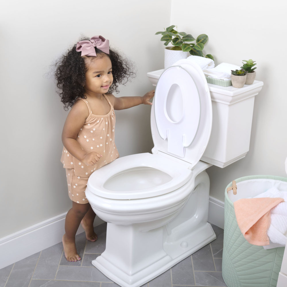 Ingenuity Flip & Sit Potty