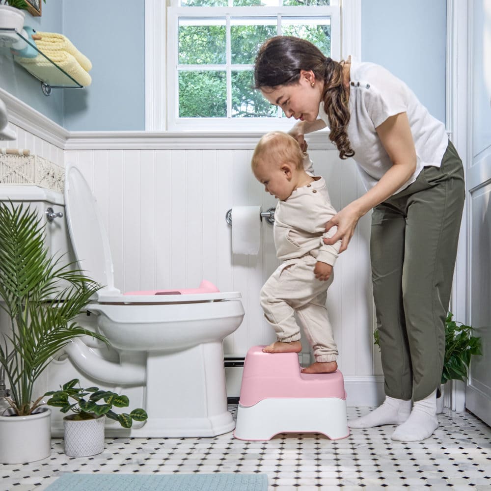 Ingenuity Prepare to Potty 3-i-1 System