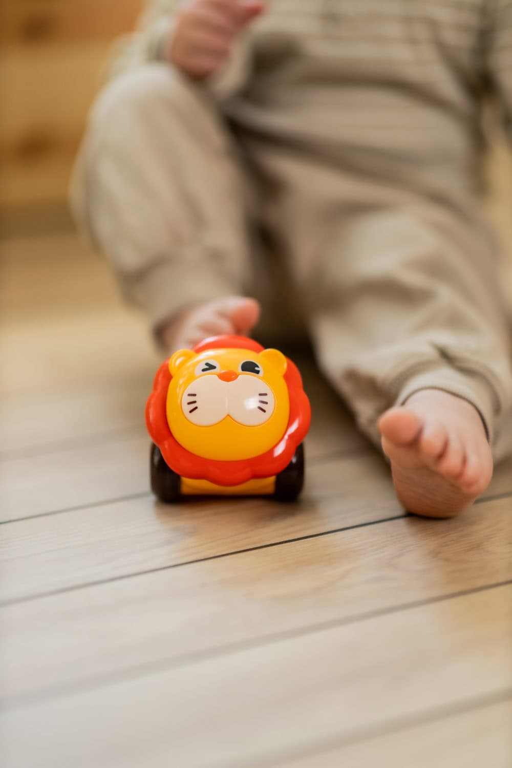 Scandinavian Baby Bouncing Animal Play Car