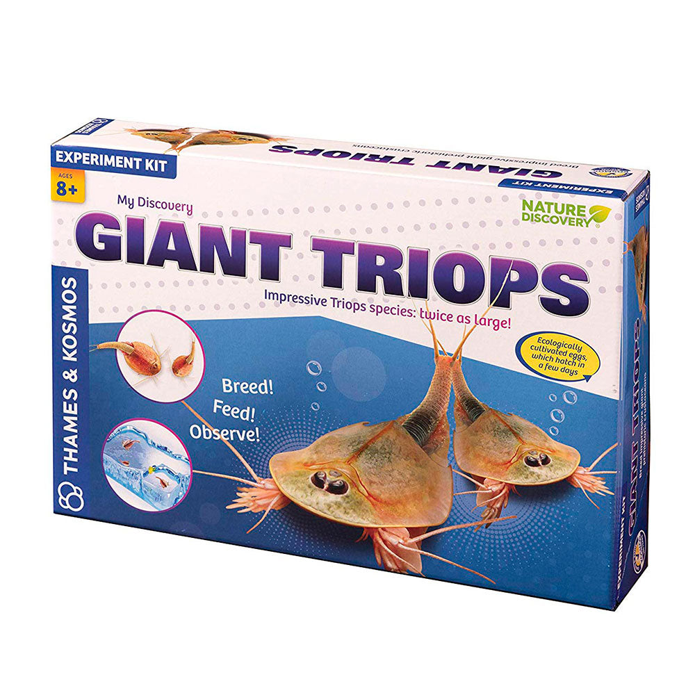 Kosmos - Giant Triops - My Discovery – Science (EN)