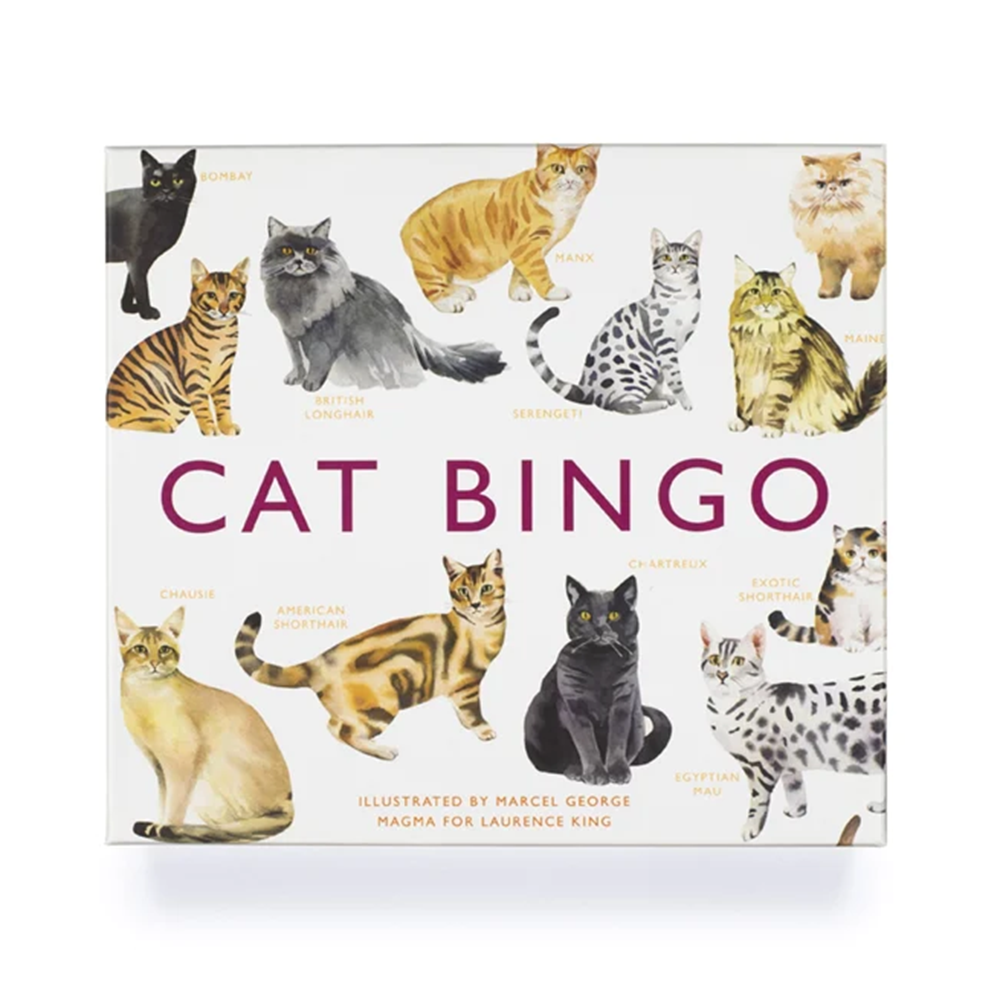 Cat Bingo