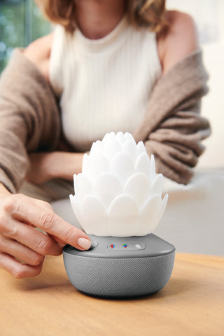 Skip Hop Succulent Nattlampa med gråtsensor