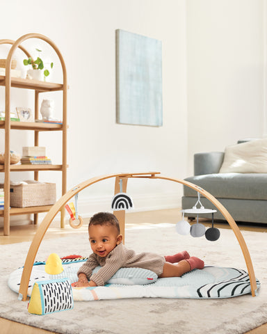 Skip Hop - Skip Hop Discoverosity Babygym