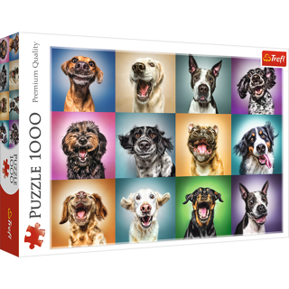 1000 BIT FUNNY DOG PORTRAITS